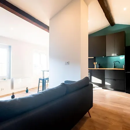 Appartamento In The Heart Of Capitole District Tolosa